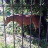 Фото0013.jpg